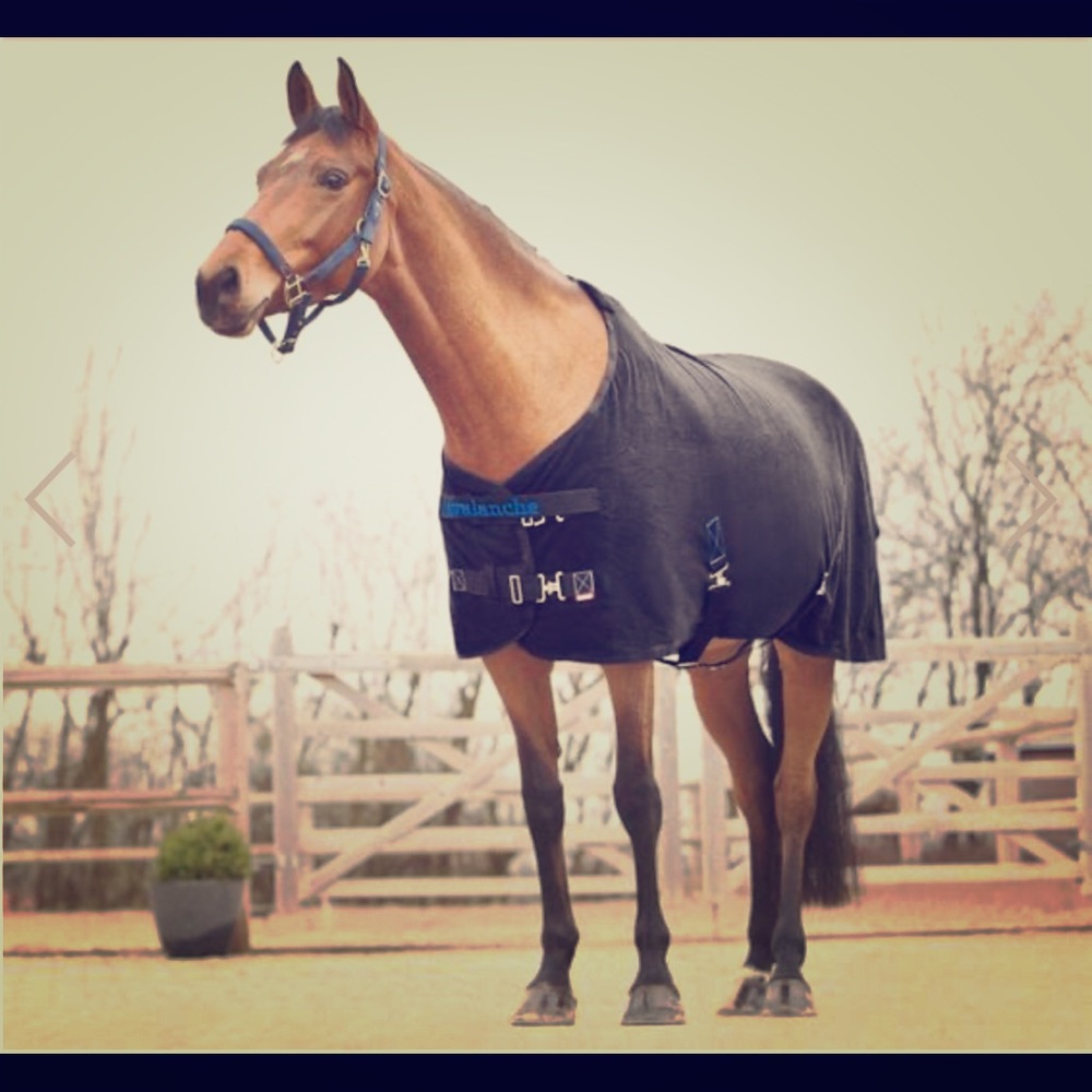 Horze avalanche fleece cooler